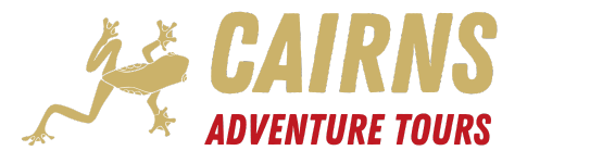 Cairns Adventure Tours
